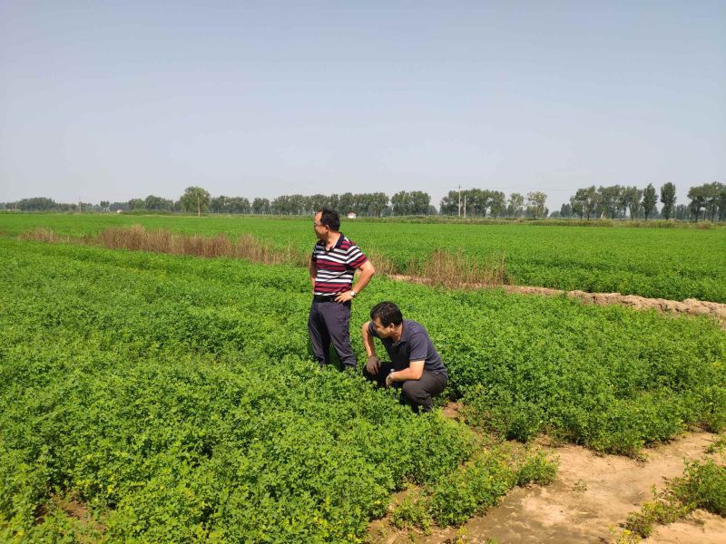 中诚草业主题教育照片1 中诚草业主题教育照片1